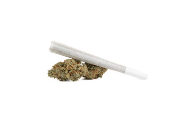 Jack & Coke Sativa Pre-roll