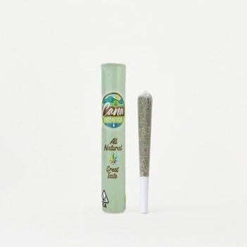 Citrus Haze Sativa Pre-roll - 1g