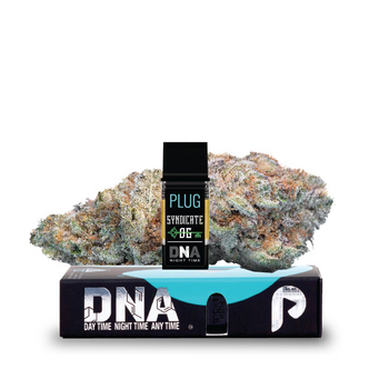 PLUG™ DNA: Syndicate OG