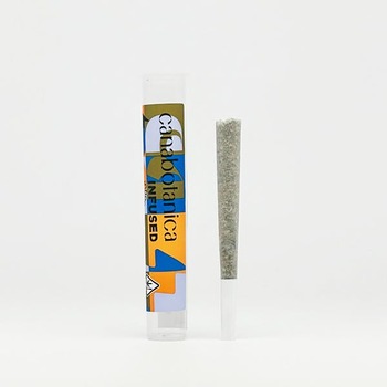 Grapes & Cream Diamond Infused PreRoll - Apple & Bananas 1g