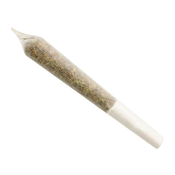 GG #4 Hybrid Pre-roll