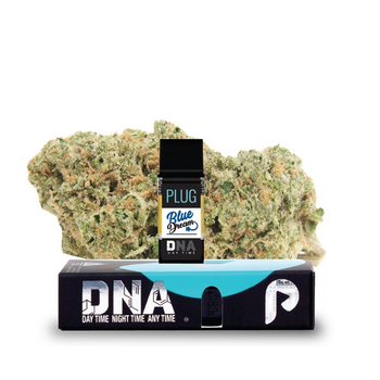 PLUG™ DNA: Blue Dream