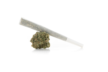 Jazz Queen Sativa Pre-roll