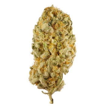 1/2oz - Jack Herer (Sativa)