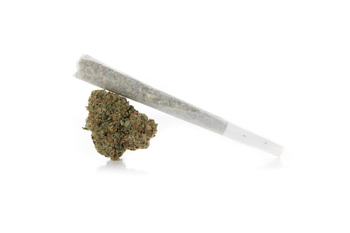 Tangie Sativa Pre-roll